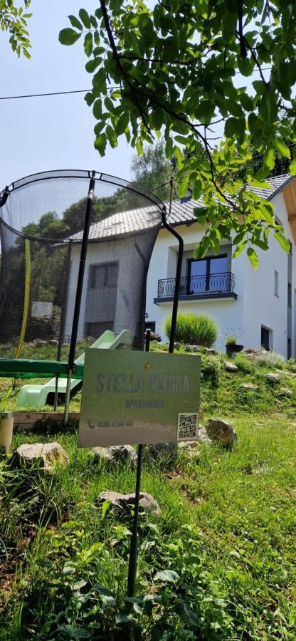 Apartment Stella Danica Catez ob Savi Exterior foto